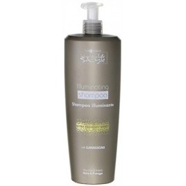 Шампунь для придания волосам блеска волосам HAIR COMPANY Inimitable Styling, 1000 мл