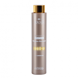 Шампунь для надання волоссю блиску HAIR COMPANY Inimitable Styling, 250 мл