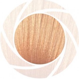 Краска-фильтр Lisaplex Filter Color, Apricot, Абрикосовый 100 мл