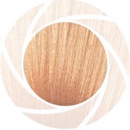 Краска-фильтр Lisaplex Filter Color, Apricot, Абрикосовый 100 мл