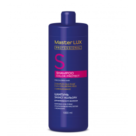 Шампунь для окрашенных волос – Защита цвета COLOR PROTECT Master LUX professional, 1000 мл